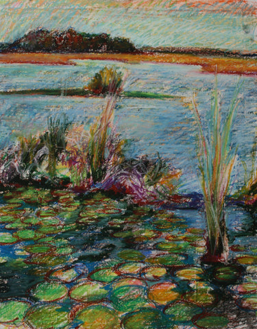Lilly Pads-pastel on paper-15X22