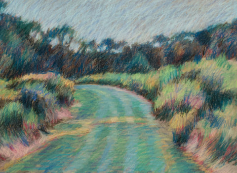 pathway in field